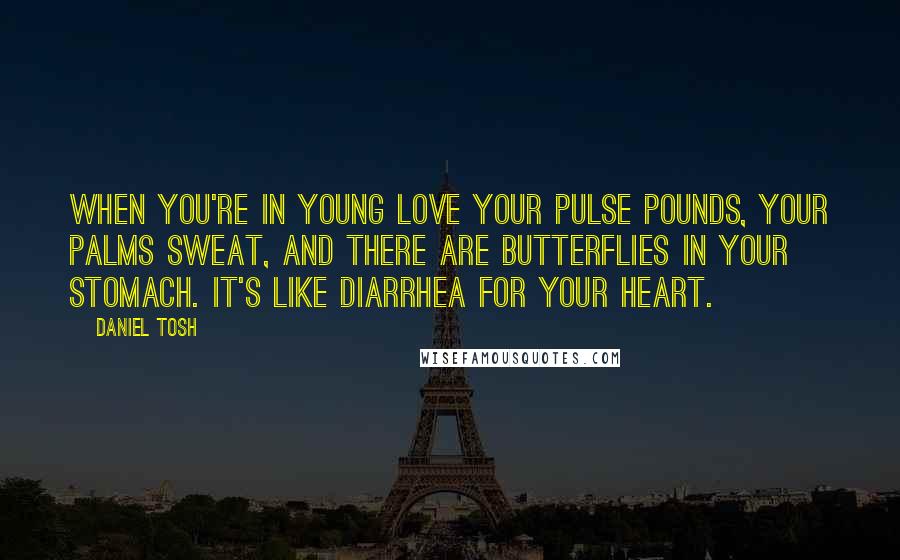 Daniel Tosh Quotes: When you're in young love your pulse pounds, your palms sweat, and there are butterflies in your stomach. It's like diarrhea for your heart.