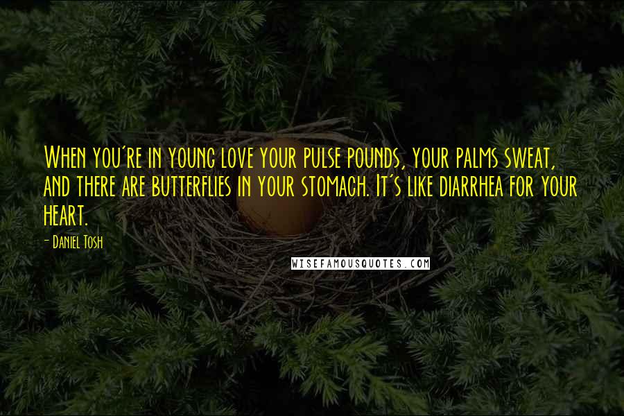 Daniel Tosh Quotes: When you're in young love your pulse pounds, your palms sweat, and there are butterflies in your stomach. It's like diarrhea for your heart.