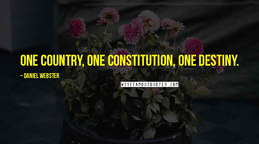 Daniel Webster Quotes: One country, one constitution, one destiny.