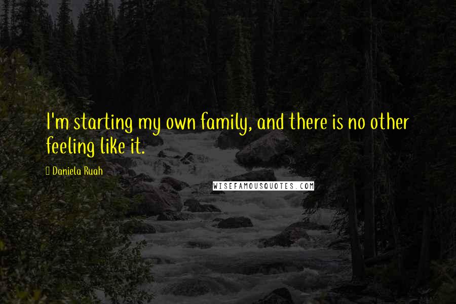 Daniela Ruah Quotes: I'm starting my own family, and there is no other feeling like it.