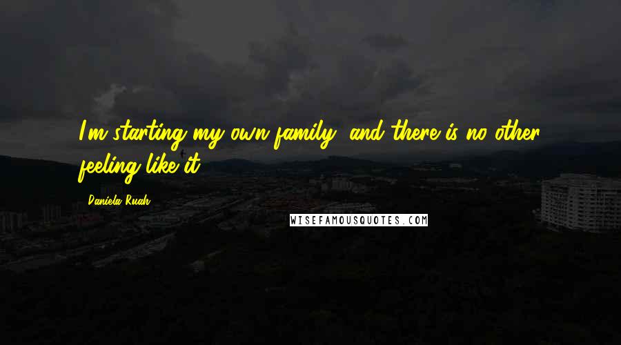 Daniela Ruah Quotes: I'm starting my own family, and there is no other feeling like it.