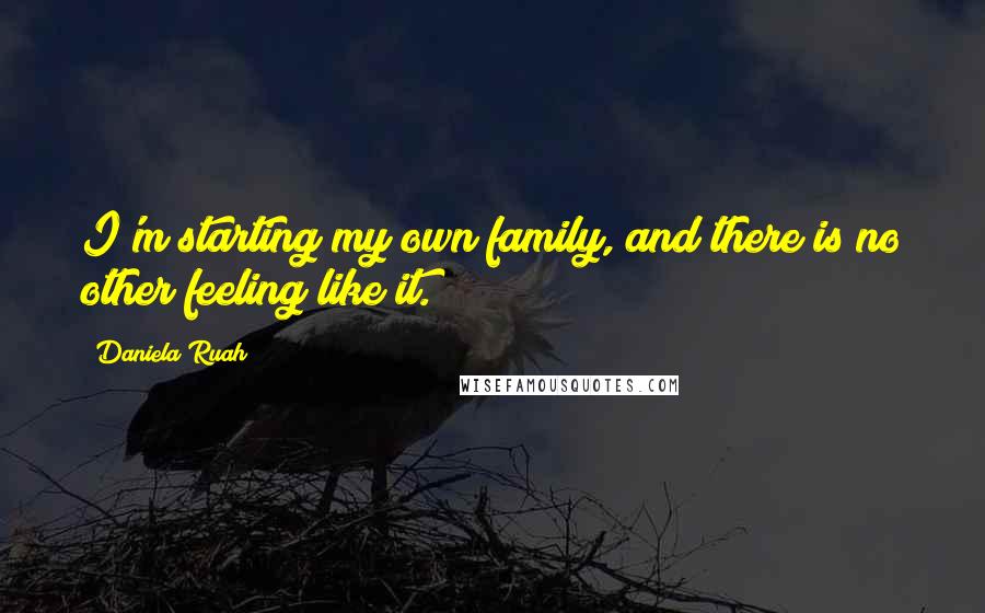 Daniela Ruah Quotes: I'm starting my own family, and there is no other feeling like it.