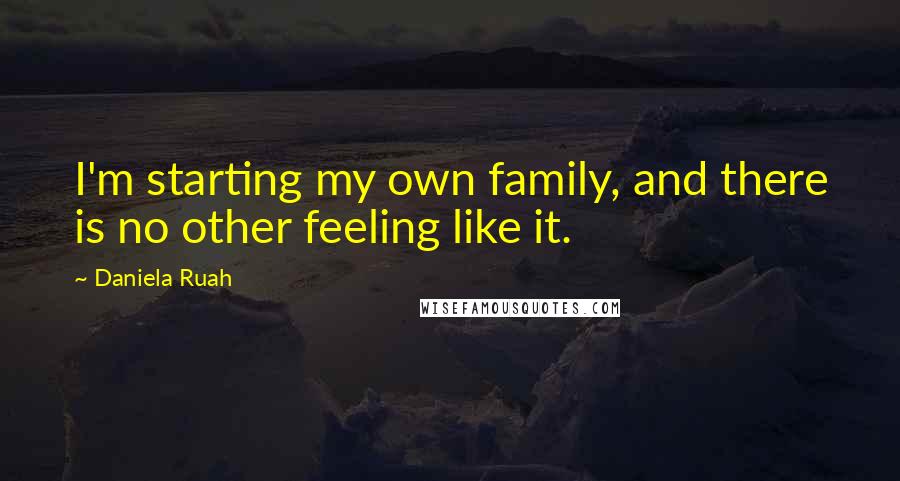 Daniela Ruah Quotes: I'm starting my own family, and there is no other feeling like it.