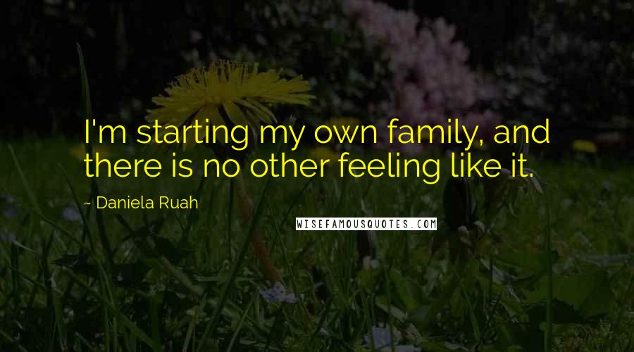 Daniela Ruah Quotes: I'm starting my own family, and there is no other feeling like it.