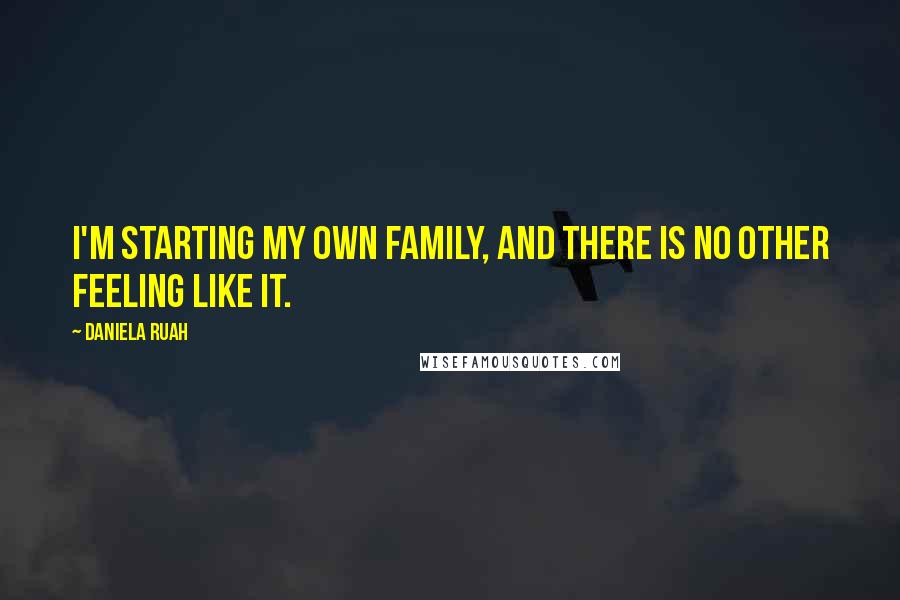 Daniela Ruah Quotes: I'm starting my own family, and there is no other feeling like it.