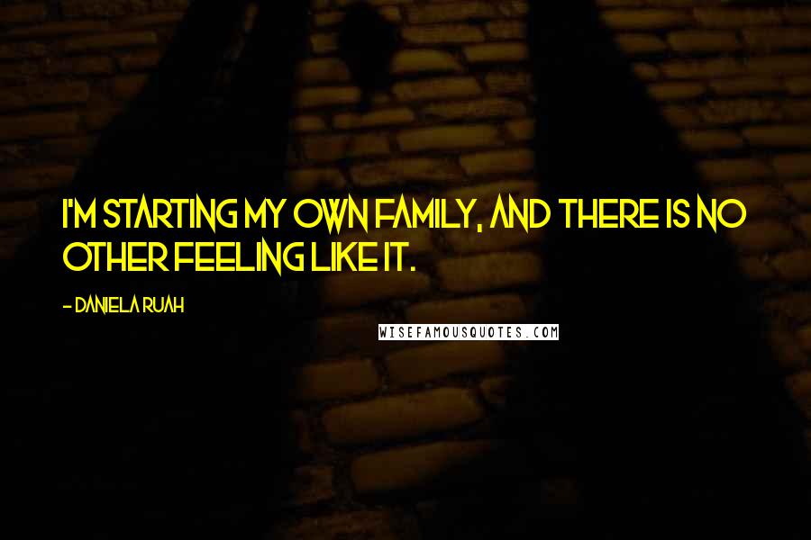 Daniela Ruah Quotes: I'm starting my own family, and there is no other feeling like it.