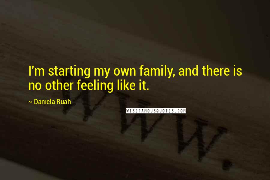 Daniela Ruah Quotes: I'm starting my own family, and there is no other feeling like it.