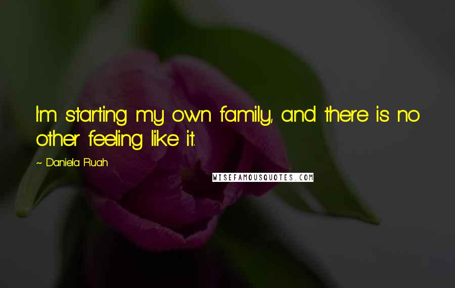 Daniela Ruah Quotes: I'm starting my own family, and there is no other feeling like it.