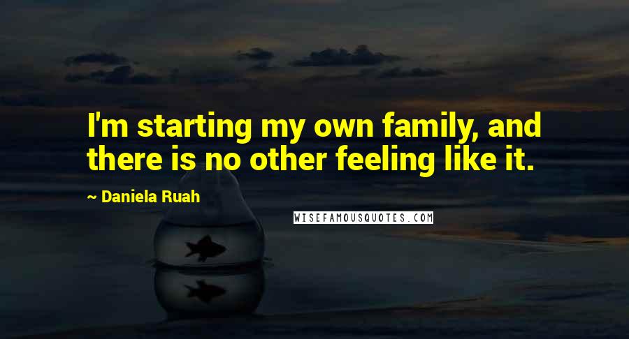 Daniela Ruah Quotes: I'm starting my own family, and there is no other feeling like it.