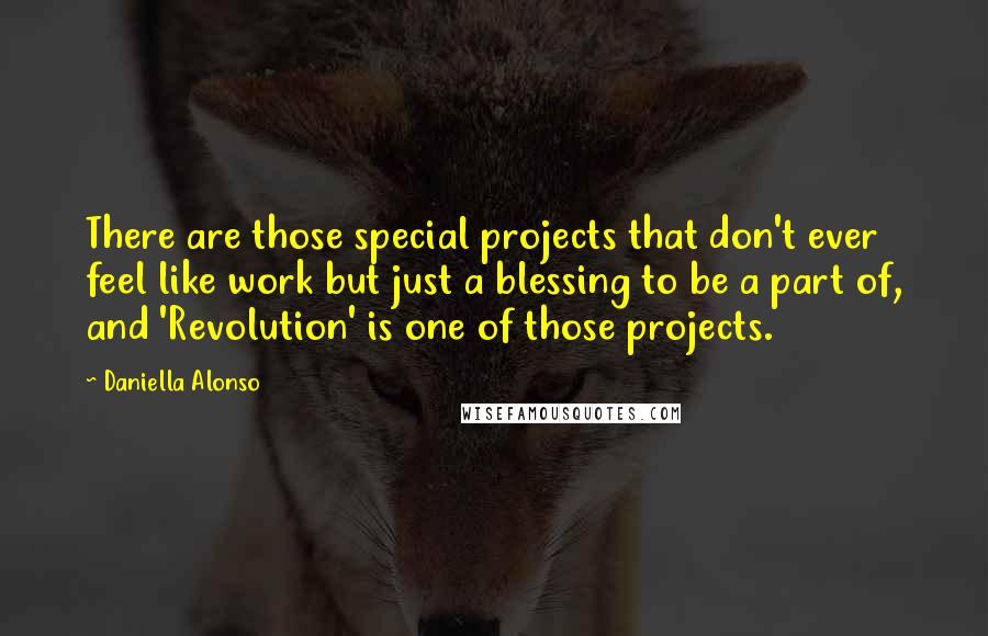 Daniella Alonso Quotes: There are those special projects that don't ever feel like work but just a blessing to be a part of, and 'Revolution' is one of those projects.