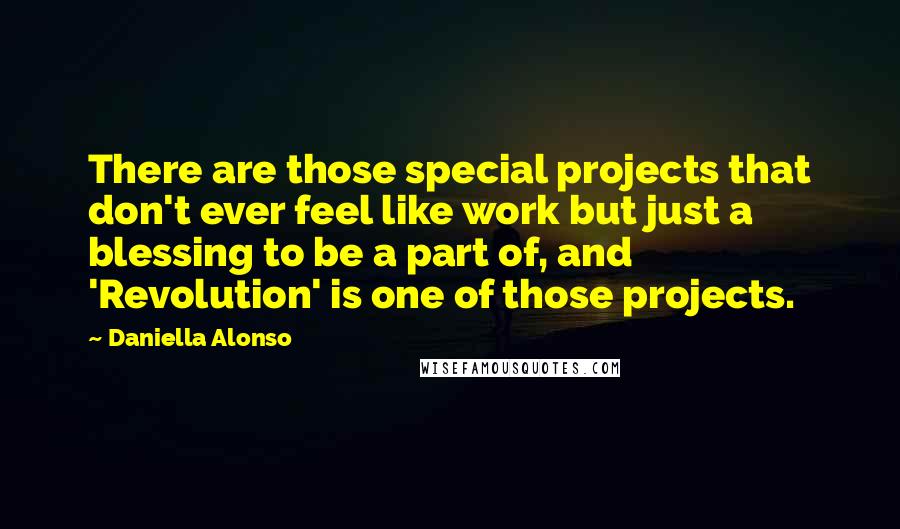 Daniella Alonso Quotes: There are those special projects that don't ever feel like work but just a blessing to be a part of, and 'Revolution' is one of those projects.