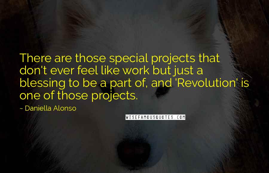 Daniella Alonso Quotes: There are those special projects that don't ever feel like work but just a blessing to be a part of, and 'Revolution' is one of those projects.