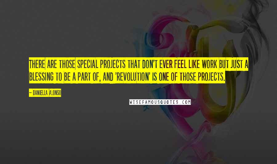 Daniella Alonso Quotes: There are those special projects that don't ever feel like work but just a blessing to be a part of, and 'Revolution' is one of those projects.