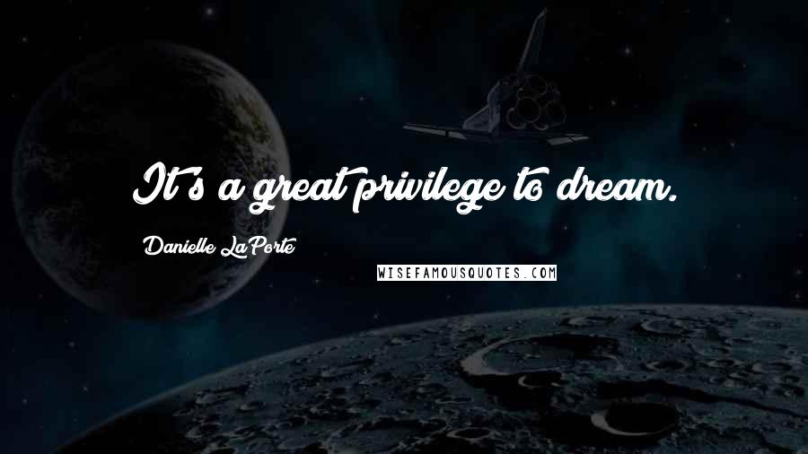 Danielle LaPorte Quotes: It's a great privilege to dream.