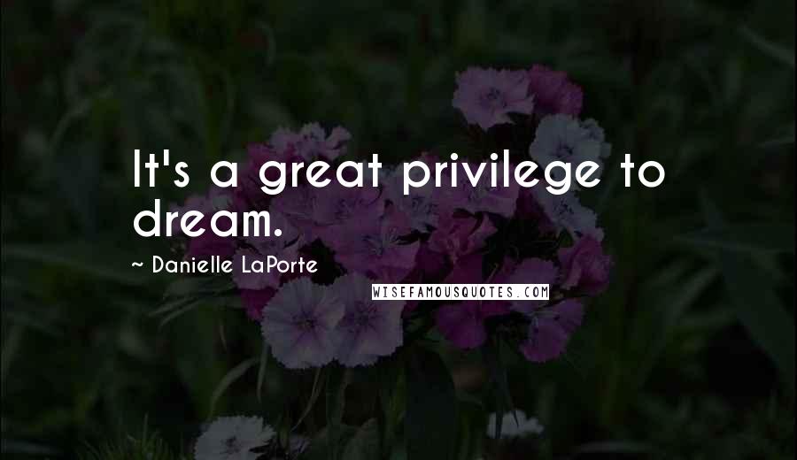 Danielle LaPorte Quotes: It's a great privilege to dream.