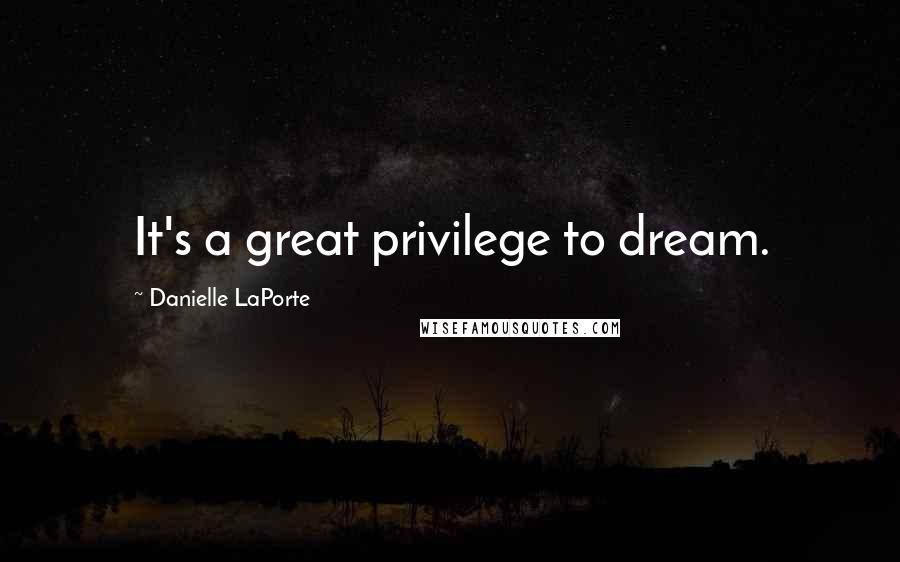 Danielle LaPorte Quotes: It's a great privilege to dream.