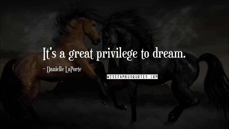 Danielle LaPorte Quotes: It's a great privilege to dream.