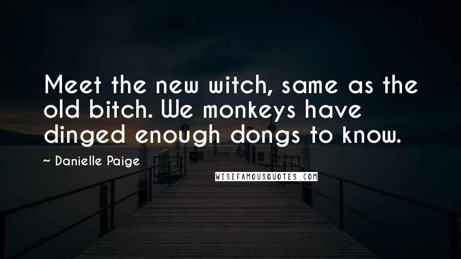Danielle Paige Quotes: Meet the new witch, same as the old bitch. We monkeys have dinged enough dongs to know.