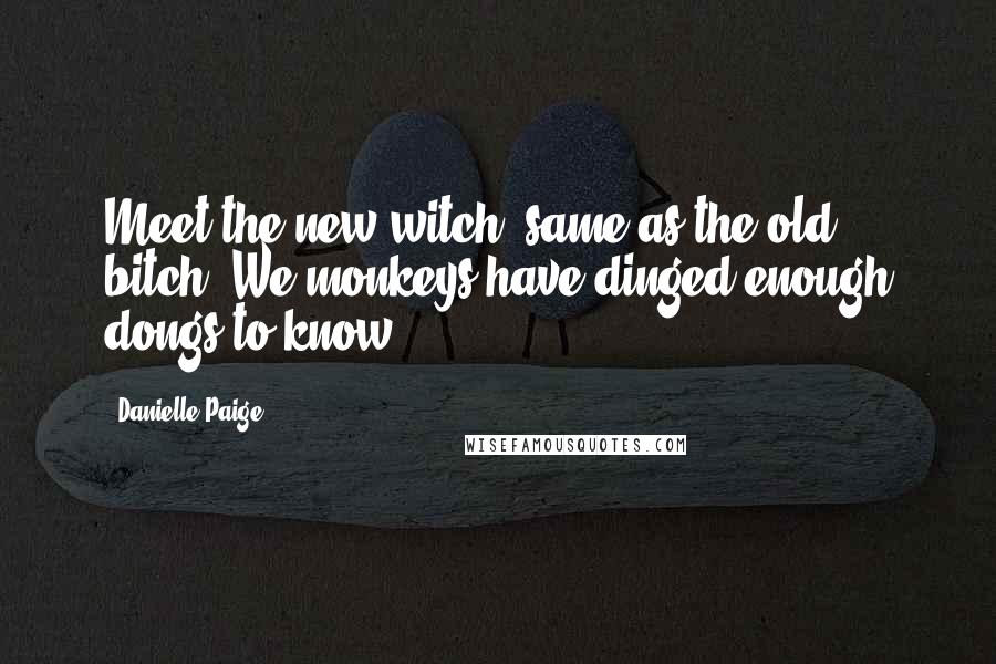 Danielle Paige Quotes: Meet the new witch, same as the old bitch. We monkeys have dinged enough dongs to know.