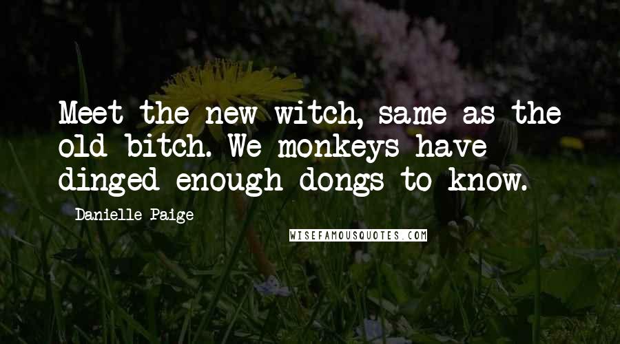 Danielle Paige Quotes: Meet the new witch, same as the old bitch. We monkeys have dinged enough dongs to know.