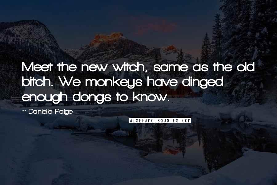 Danielle Paige Quotes: Meet the new witch, same as the old bitch. We monkeys have dinged enough dongs to know.