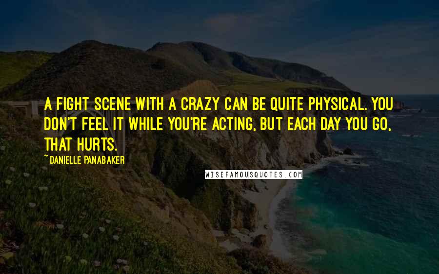 Danielle Panabaker Quotes: A fight scene with a crazy can be quite physical. You don't feel it while you're acting, but each day you go, that hurts.