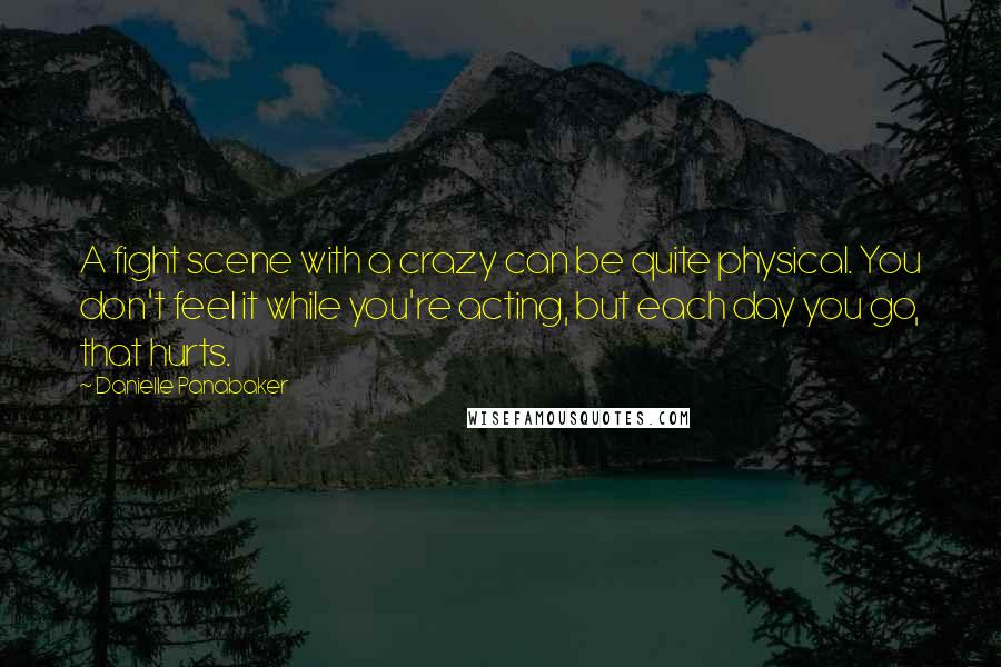 Danielle Panabaker Quotes: A fight scene with a crazy can be quite physical. You don't feel it while you're acting, but each day you go, that hurts.