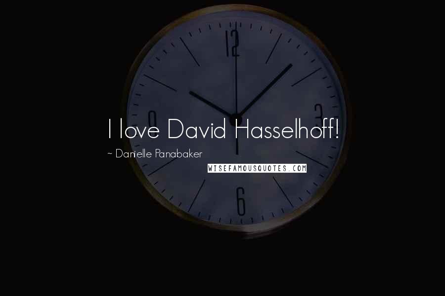 Danielle Panabaker Quotes: I love David Hasselhoff!