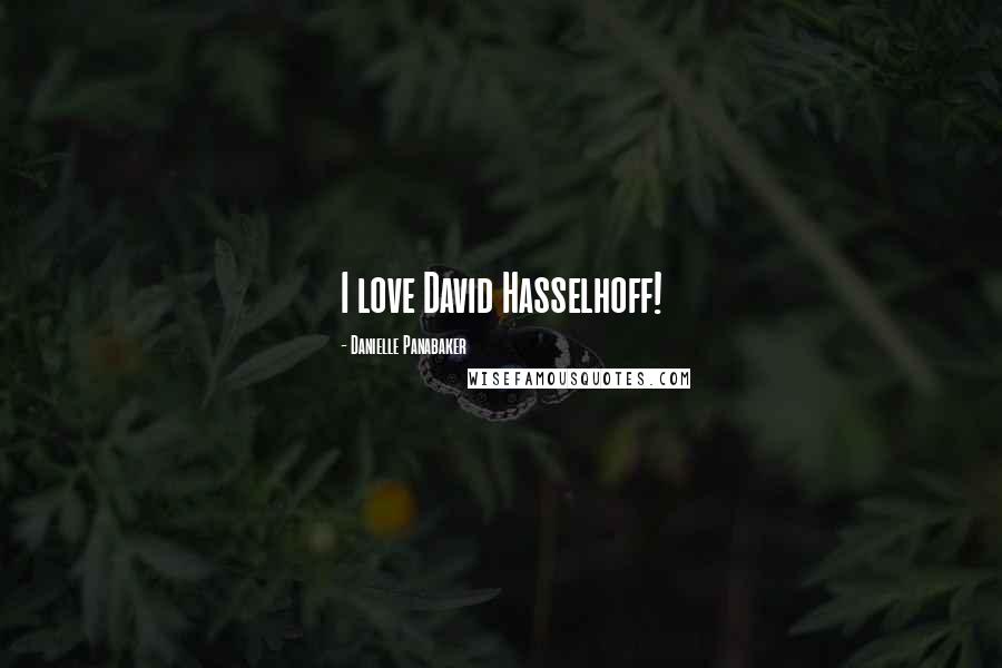 Danielle Panabaker Quotes: I love David Hasselhoff!