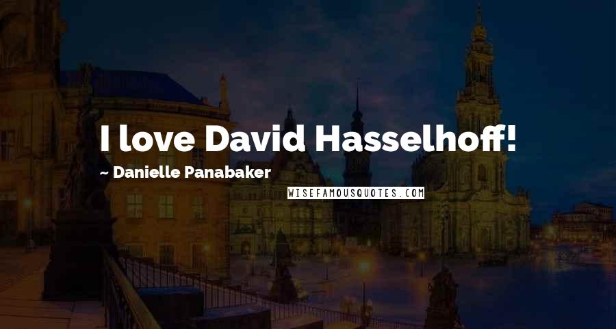 Danielle Panabaker Quotes: I love David Hasselhoff!