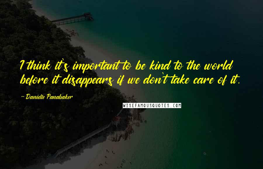 Danielle Panabaker Quotes: I think it's important to be kind to the world before it disappears if we don't take care of it.