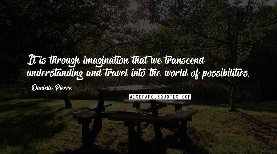 Danielle Pierre Quotes: It is through imagination that we transcend understanding and travel into the world of possibilities.