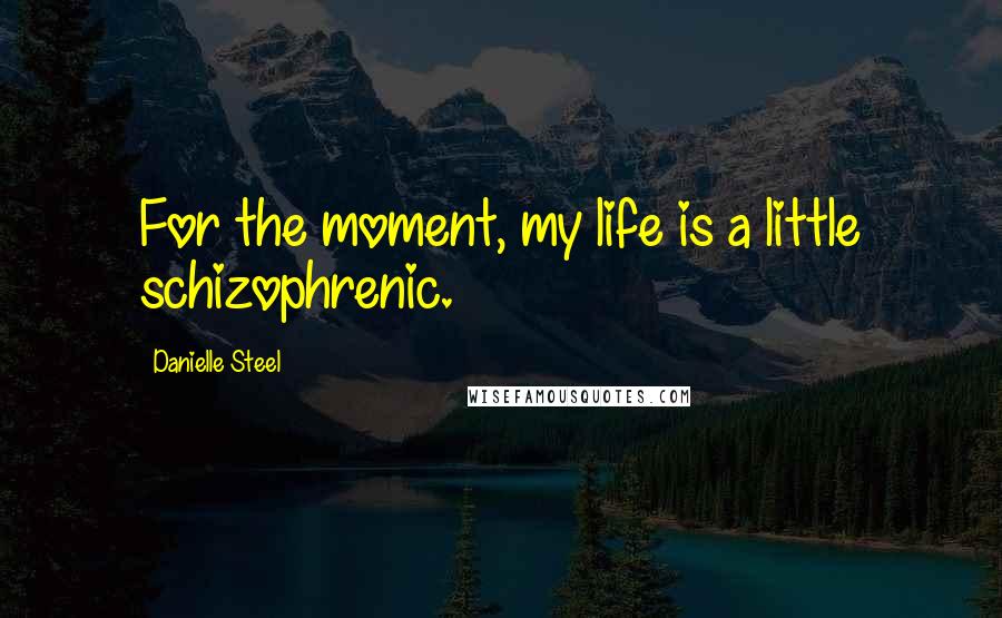 Danielle Steel Quotes: For the moment, my life is a little schizophrenic.