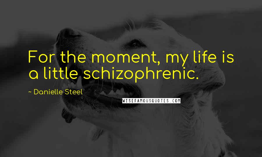 Danielle Steel Quotes: For the moment, my life is a little schizophrenic.