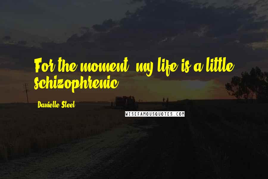 Danielle Steel Quotes: For the moment, my life is a little schizophrenic.