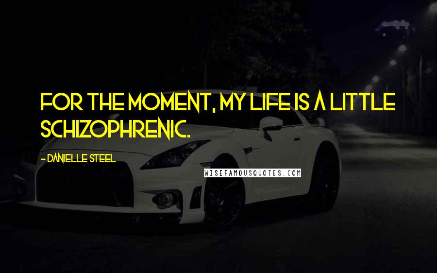 Danielle Steel Quotes: For the moment, my life is a little schizophrenic.