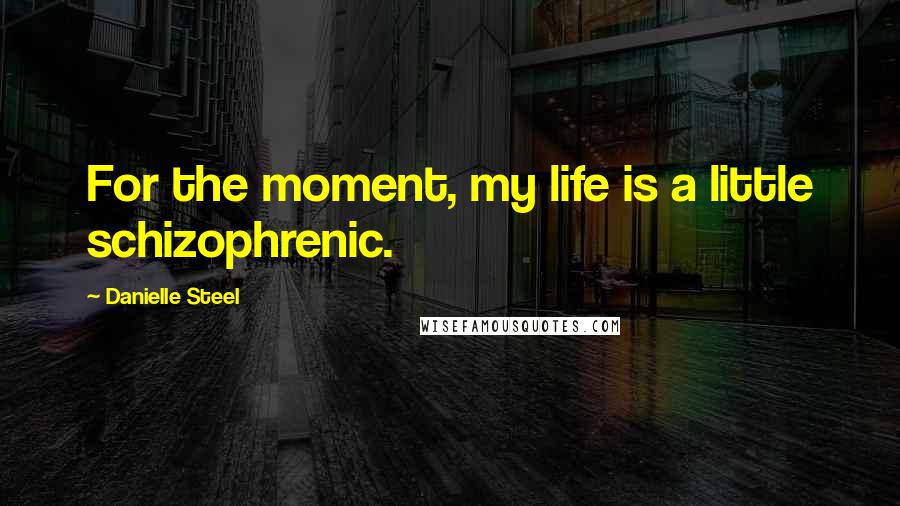 Danielle Steel Quotes: For the moment, my life is a little schizophrenic.