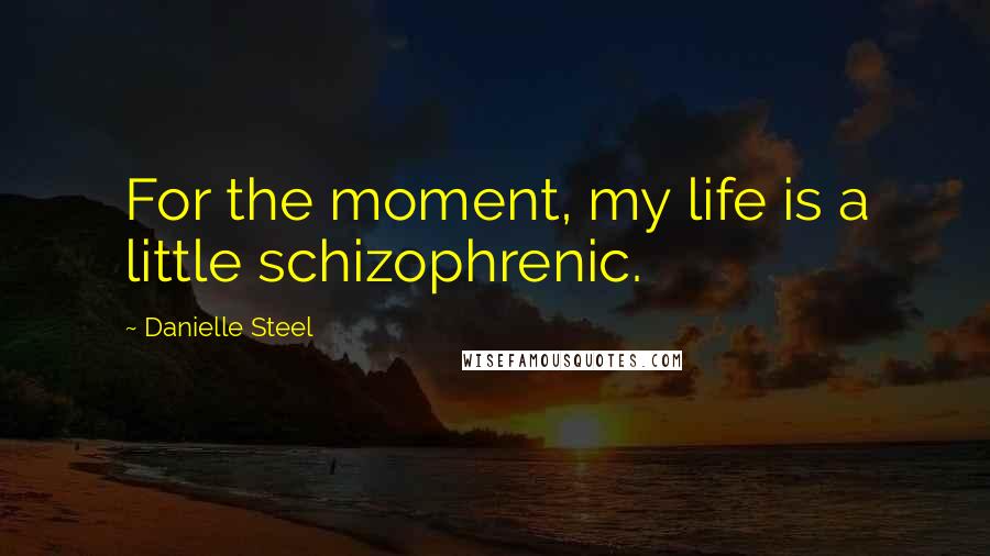 Danielle Steel Quotes: For the moment, my life is a little schizophrenic.