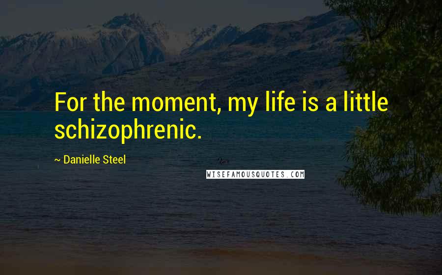 Danielle Steel Quotes: For the moment, my life is a little schizophrenic.