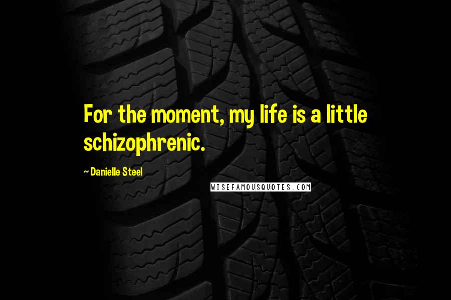 Danielle Steel Quotes: For the moment, my life is a little schizophrenic.