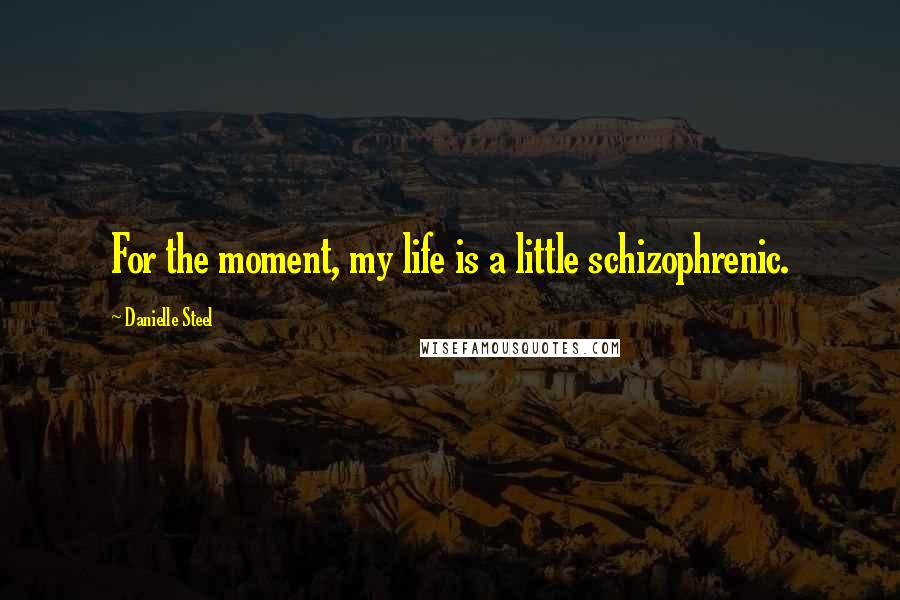 Danielle Steel Quotes: For the moment, my life is a little schizophrenic.