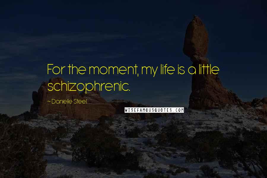 Danielle Steel Quotes: For the moment, my life is a little schizophrenic.