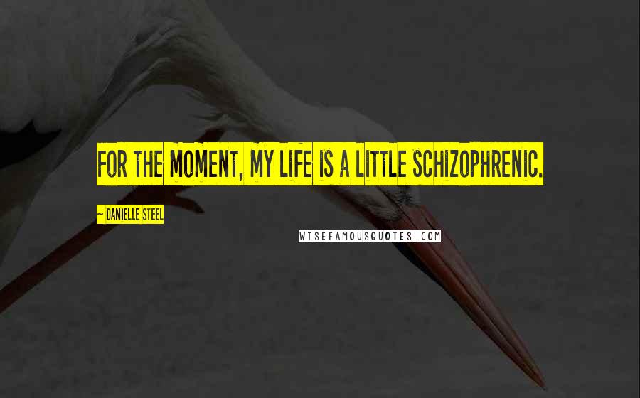 Danielle Steel Quotes: For the moment, my life is a little schizophrenic.