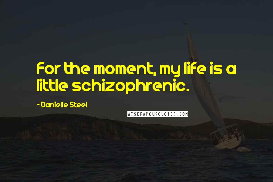 Danielle Steel Quotes: For the moment, my life is a little schizophrenic.