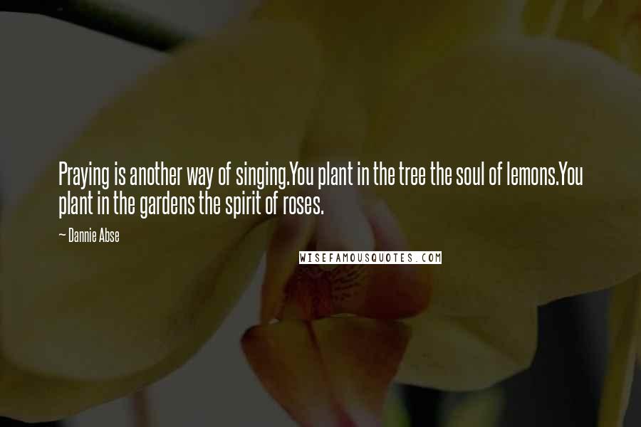 Dannie Abse Quotes: Praying is another way of singing.You plant in the tree the soul of lemons.You plant in the gardens the spirit of roses.