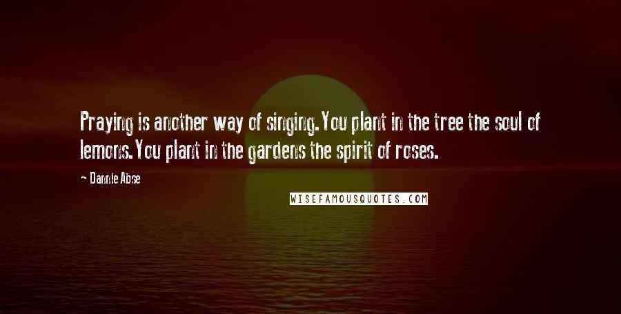 Dannie Abse Quotes: Praying is another way of singing.You plant in the tree the soul of lemons.You plant in the gardens the spirit of roses.