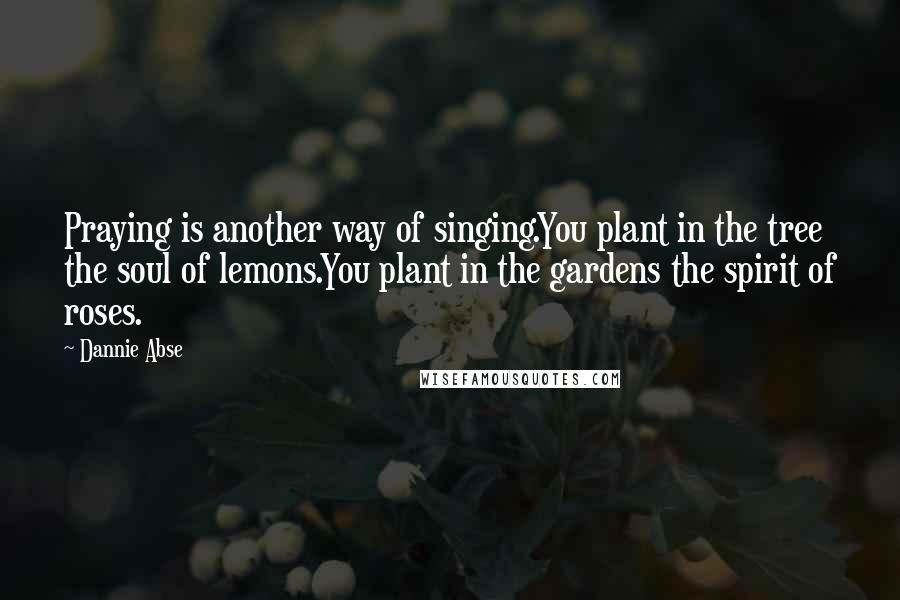 Dannie Abse Quotes: Praying is another way of singing.You plant in the tree the soul of lemons.You plant in the gardens the spirit of roses.