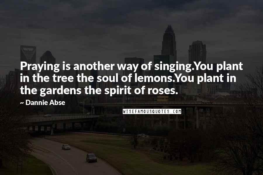 Dannie Abse Quotes: Praying is another way of singing.You plant in the tree the soul of lemons.You plant in the gardens the spirit of roses.