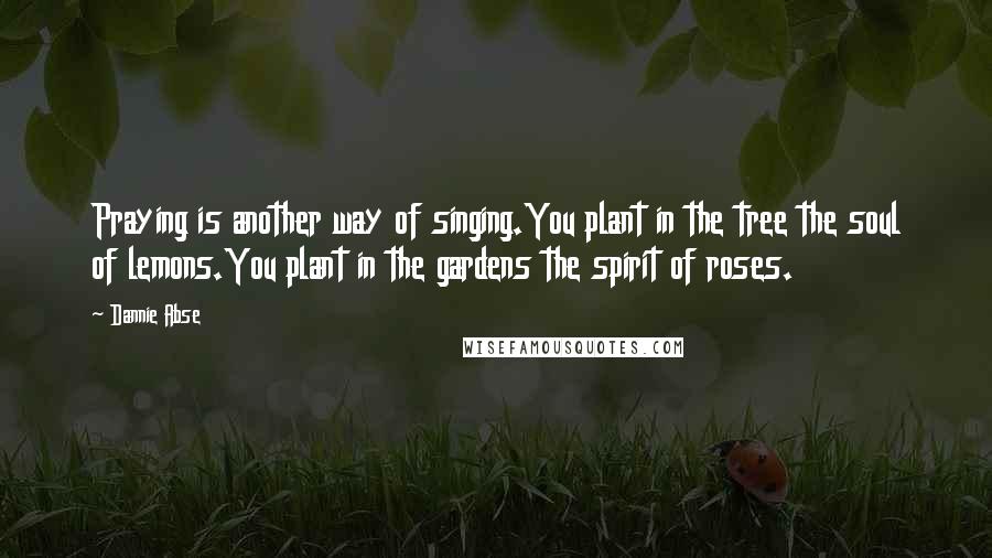 Dannie Abse Quotes: Praying is another way of singing.You plant in the tree the soul of lemons.You plant in the gardens the spirit of roses.