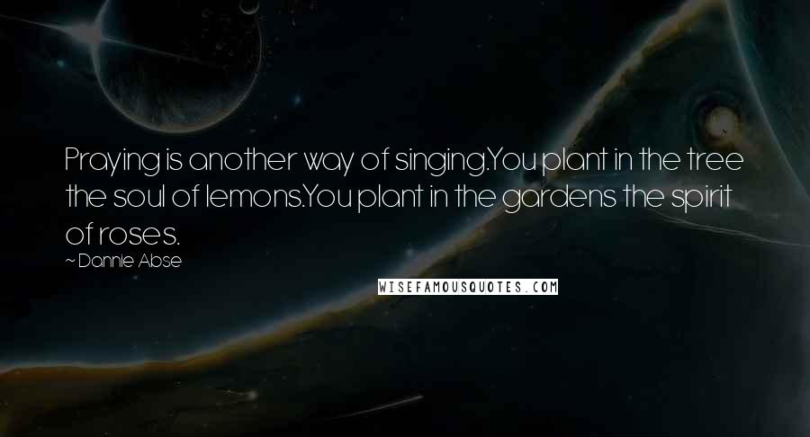 Dannie Abse Quotes: Praying is another way of singing.You plant in the tree the soul of lemons.You plant in the gardens the spirit of roses.